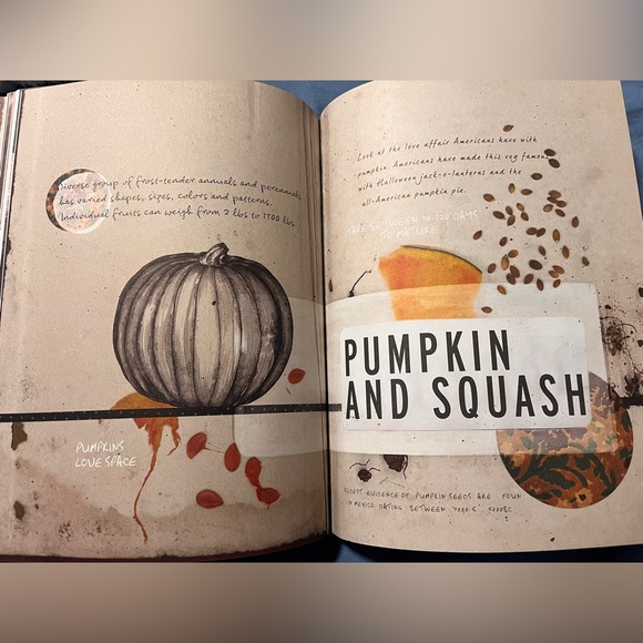 Mr Wilkinsons Vegetables Cookbook… Veggie love! Farm to Table! - Picture 3 of 7